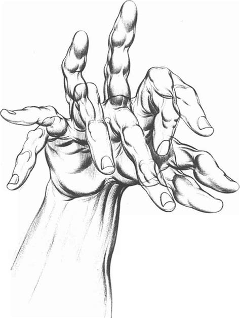 Reversing Positions Drawing Hands Joshua Nava Arts