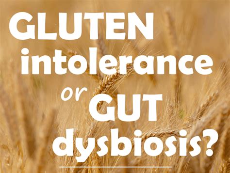 Gluten Intolerance Or Gut Dysbiosis Lucy Mailing Phd