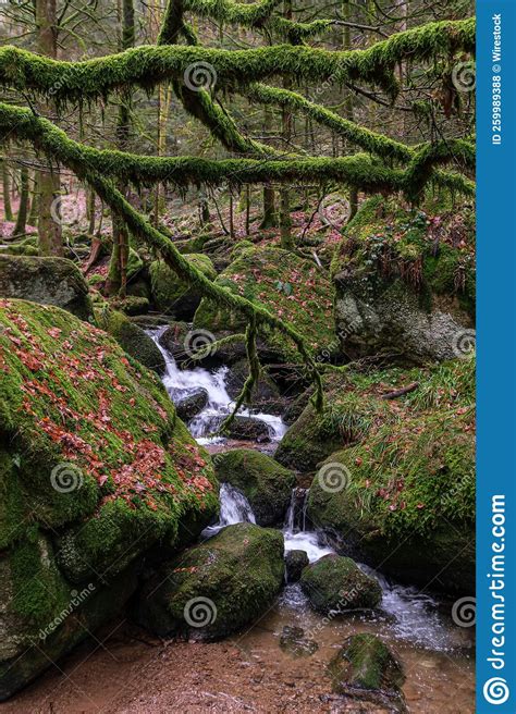 Beautiful Shot Of Gertelbach Waterfall With Mossy Rocks And Autumn