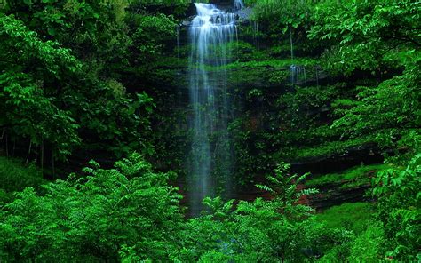 95 Background Air Terjun Hutan Images And Pictures Myweb