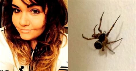 False Widow Spider Blamed For Awful Bites Suffered By 2 Women In Same