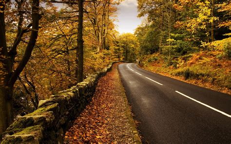 Fall Road Wallpaper Wallpapersafari