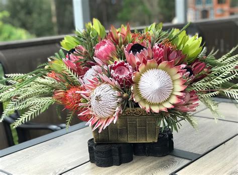 Large Protea Lovers Arrangement In Antique Style Metal Tin The Ruth