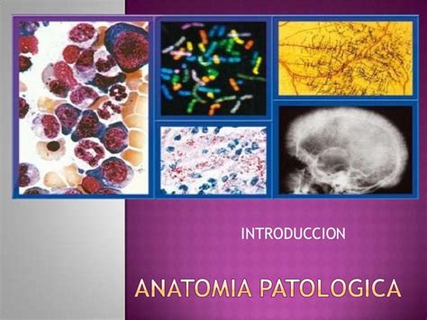 Anatomia Patologica