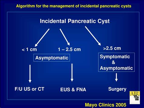 Ppt Cystic Neoplasms Of The Pancreas Powerpoint Presentation Free