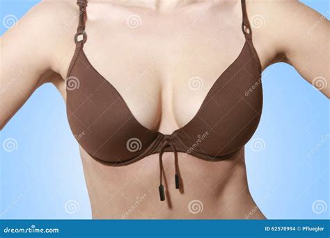 Mooie Borsten In Bikini Stock Foto Image Of Borsten