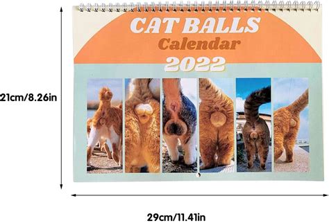 Amazon Com Apfopard Cat Butthole Calendar Decoration Funnys Gift Ornament Meal Prep