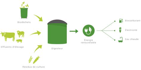 Quest Ce Que Le Biogaz ⌁ Sirenergies
