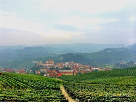 Postcard Barolo Vineyards In Piemontes Langhe Region Adventures Of