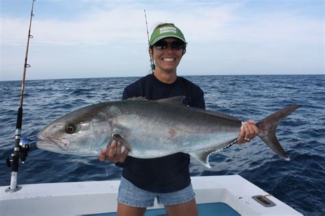 Show Me The Fish Charters Amberjack Of Hearts For Valentines Day
