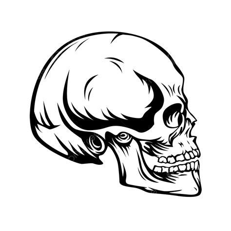 Skull Side View Silhouette Png Transparent Skull Head Black Side View