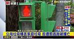 最新》公用垃圾桶丟家庭垃圾 拒遭罰逃跑被撞亡 @東森新聞 CH51
