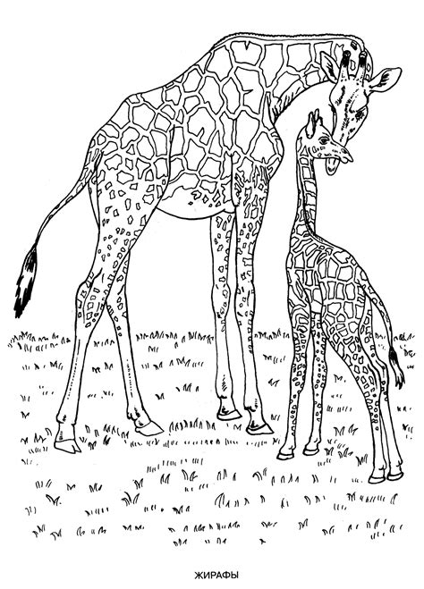 Wild Animals Coloring Pages To Print