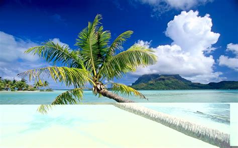Tropical Beach Most Famous Places