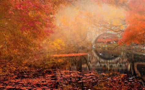 Autumn Bridge Landscape River Park Wallpapers Hd Desktop And