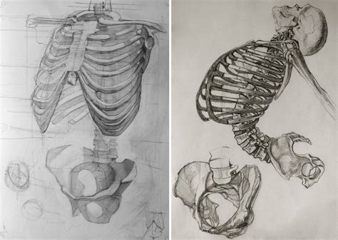 Or do you not know anatomy at all and you are tired to trust your imagination? How to draw models from life - Drawing Academy | Drawing ...