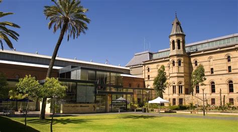 South Australian Museum In Adelaide Central Business District Expedia