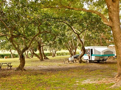 9 Perfect RV Parks in South Florida for Snowbirds