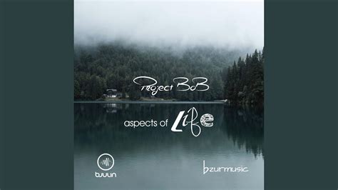 Aspects of Life - YouTube