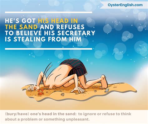 Idiom Head In The Sand Meaning And Examples