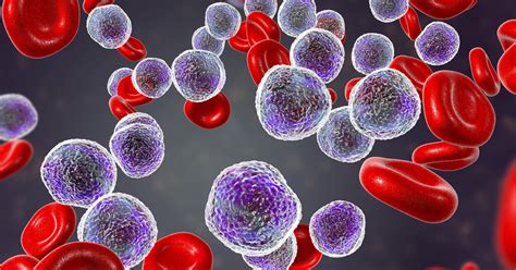 Blood Cell Mutations Linked To Leukemias Are Inevitable As We Age Riken