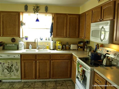 Granite is the most popular choice for kitchen counter tops, especially when the size your budget isn't a consideration. Little Homestead In Boise : Kitchen Counter Re-Do, History ...