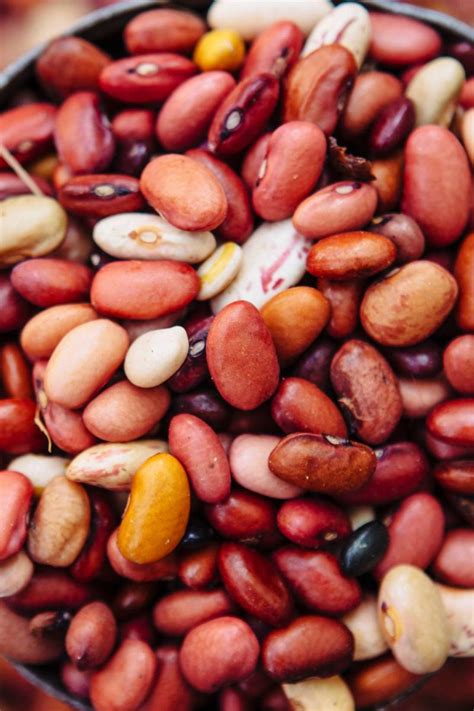 Types Of Beans And How To Cook With Them Sweetgrass Trading Co