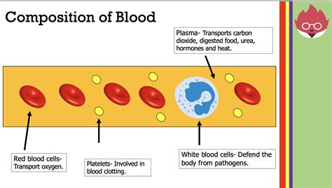 Aqa Gcse Biology Blood Teaching Resources