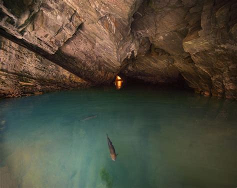 Penns Cave Reddit Post And Comment Search Socialgrep
