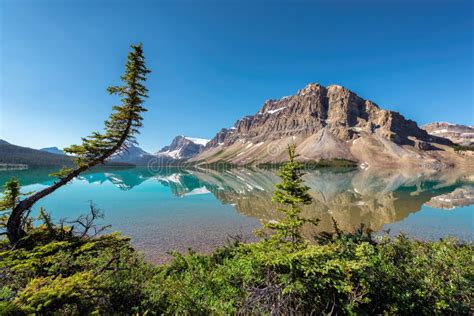 Landscape At Bow Lake In Banff National Park Stock Photo Image Of