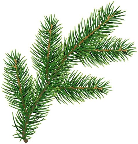 Pine Branch Clip Art Deco Image Christmas Card Art Pine Branch