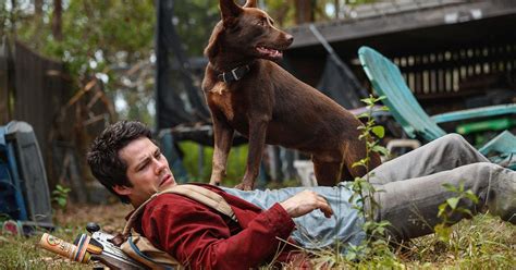 Dei mostri invadono la terra e i due sono costretti a separarsi. Love and Monsters review: A mixed bag of Dylan O'Brien and ...