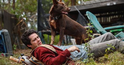 Molto tempo dopo joel vive in una baracca e cerca di rintracciare aimee attraverso. Love and Monsters review: A mixed bag of Dylan O'Brien and ...