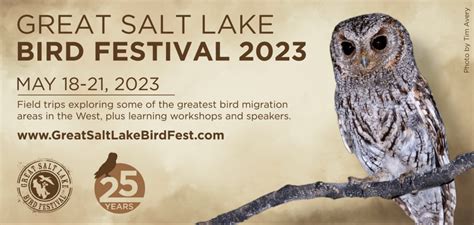 Great Salt Lake Bird Festival American Birding Association