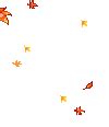 Download fall leaves png transparent and use any clip art,coloring,png graphics in your website, document or presentation. Free Thanksgiving Gifs - Animated Thanksgiving Graphics