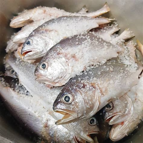 비릿 맛이 없어 인기가 좋은 생선 대구, 고양이 대구 먹어도 괜찮을까? 싱싱한조기도 직접손질해서 소금에 절여둬요😋 살도통통한 ...