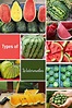 Watermelon Varieties - Understanding the Different Types of Watermelons