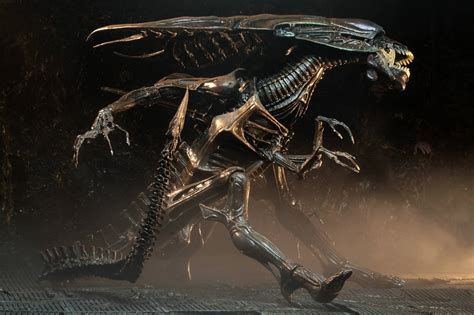 Welcome to the official alien twitter page. NECA's Alien: Resurrection Queen Announced! - AvPGalaxy