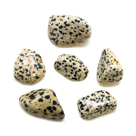 Dalmatian Jasper Tumbled Stone Set Extra Large Crystal Vaults