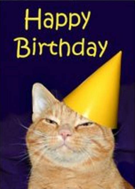 Found On Bing Happy Birthday Cat Happy Birthday Cat