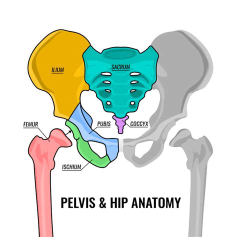 Urgent Care For Hip Fractures In Nw Oregon