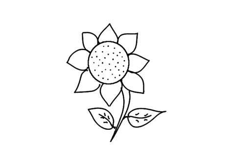 Learn how to draw a sunflower with this easy step by step tutorial. How to Draw a Sunflower? | Step by Step Drawing for Kids