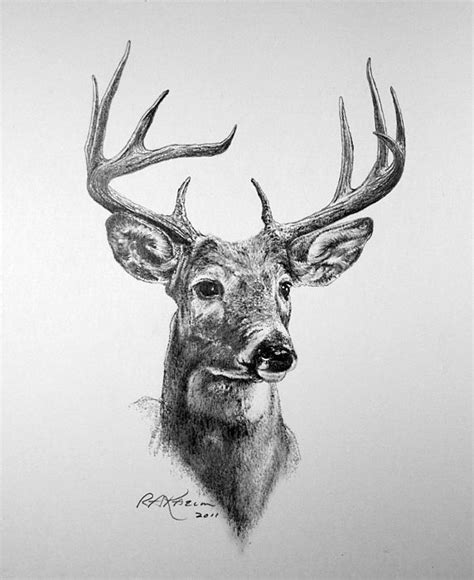 Deer Painting Painting And Drawing Buck Tattoo Raven Tattoo Tattoo