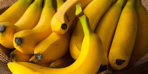 Bananas On The Brink Fruit Faces Extinction Risk Fox News