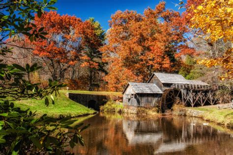 The Best Times And Places To See Fall Foliage In Virginia 2017