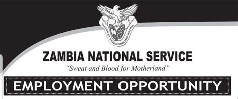 Zns Recruitment Advert 2023 Zambia National Service How To Apply