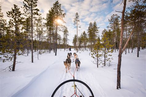 25 Lapland Husky Ride Adventure And Landscape Photographer Tom Archer