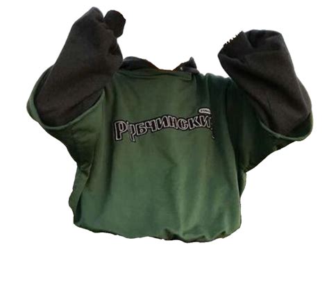 Download dark green shirt / polyvore | Aesthetic shirts, Shirts ...