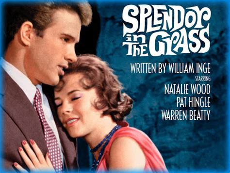 Splendor In The Grass 1961 Movie Review Film Essay