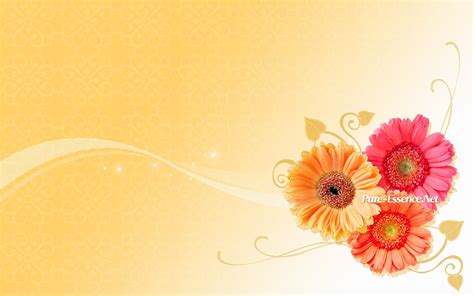 [48+] Free Vector Wallpaper on WallpaperSafari